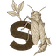 Svelte + SvelteKit